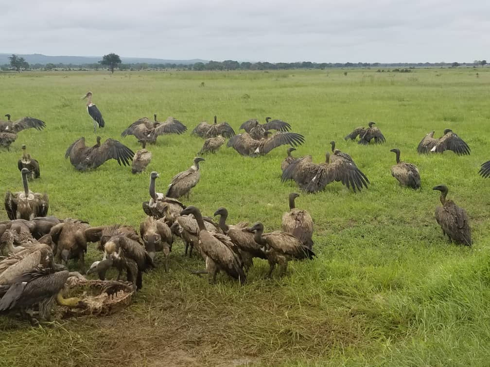Ngaiza Adventures (38)