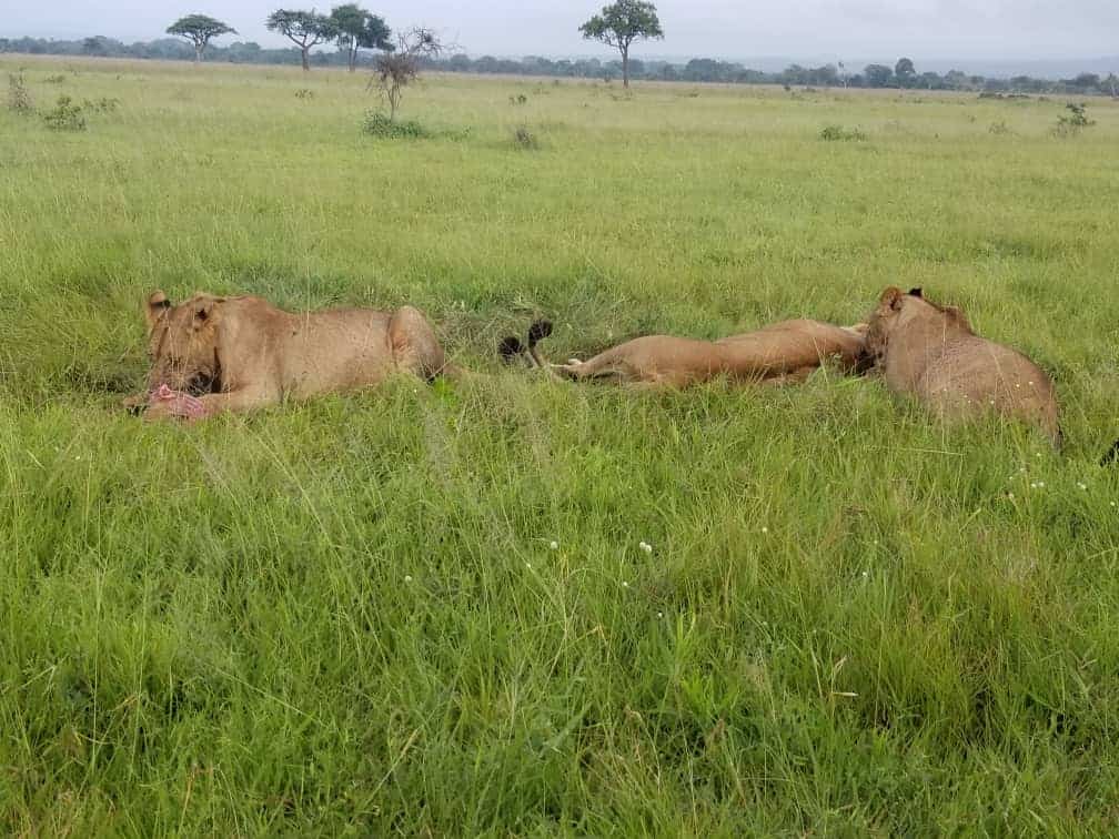 Ngaiza Adventures (45)