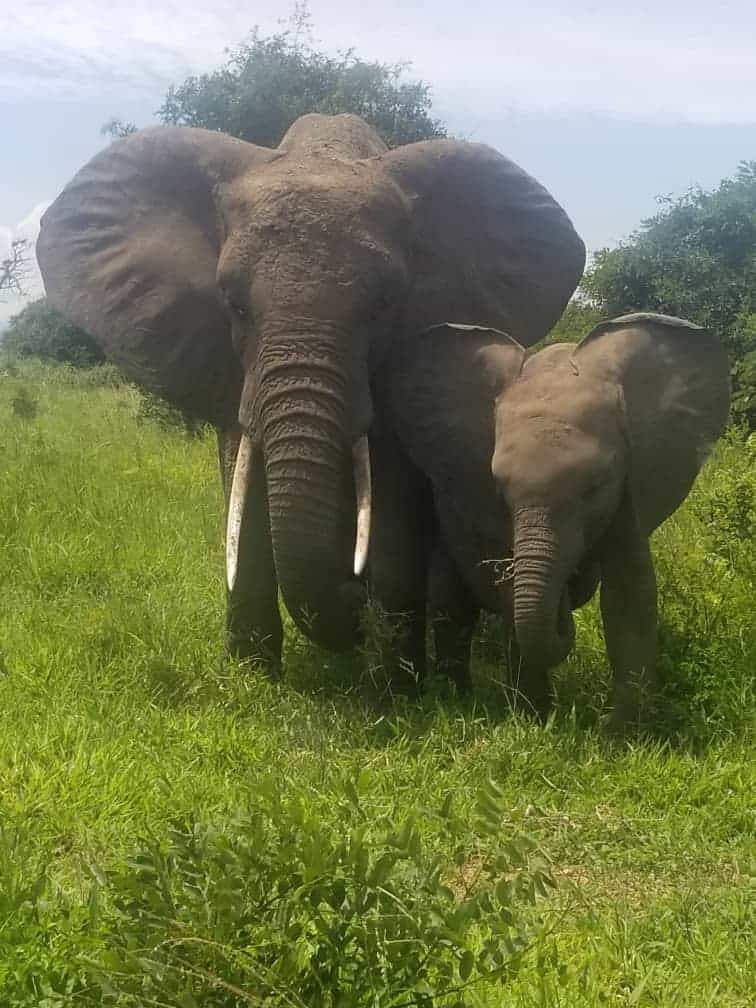Ngaiza Adventures (53)