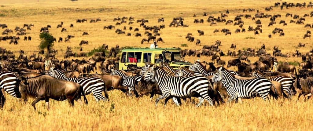 10 Days Budget Safari in Tanzania
