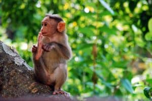 5405685b352e9