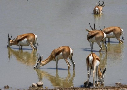 7-Day Namibia Camping Safari