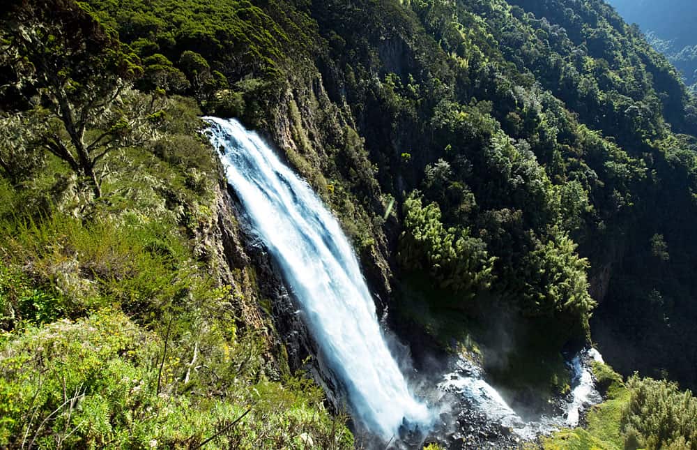 Aberdare National Park