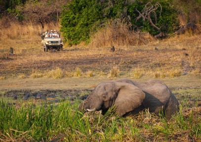 12 Days Victoria Falls, Kafue, South Luangwa, Lower Zambezi Safari