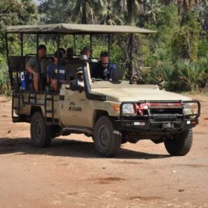 Game Drive Safari
