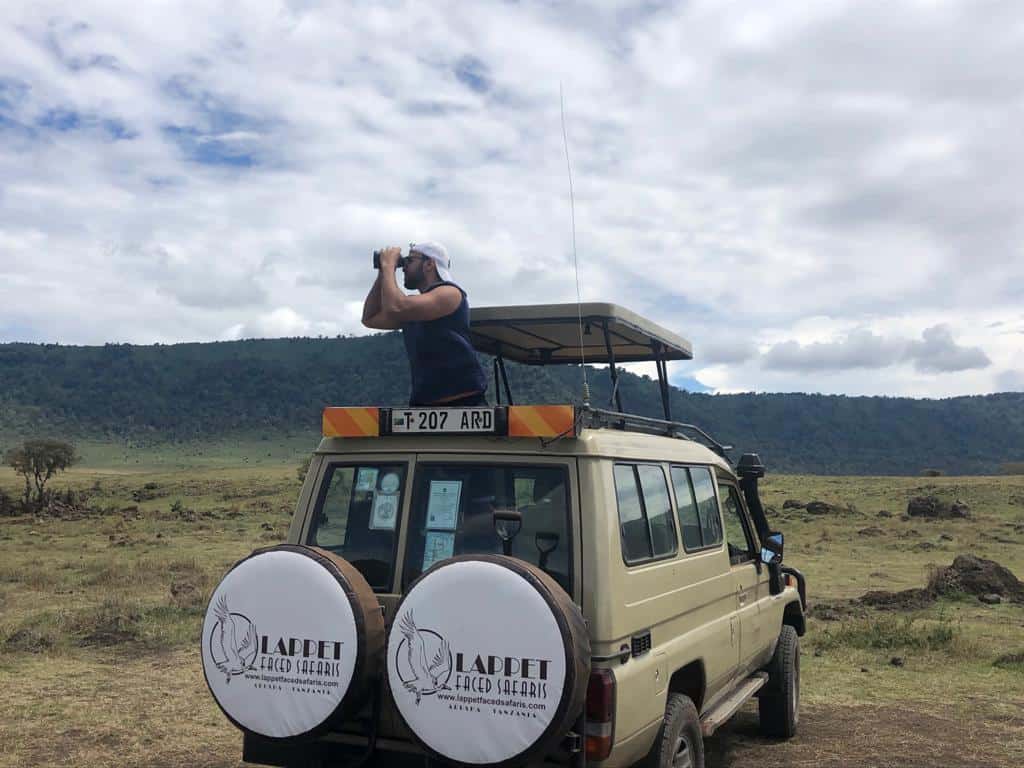 Safaris jeep