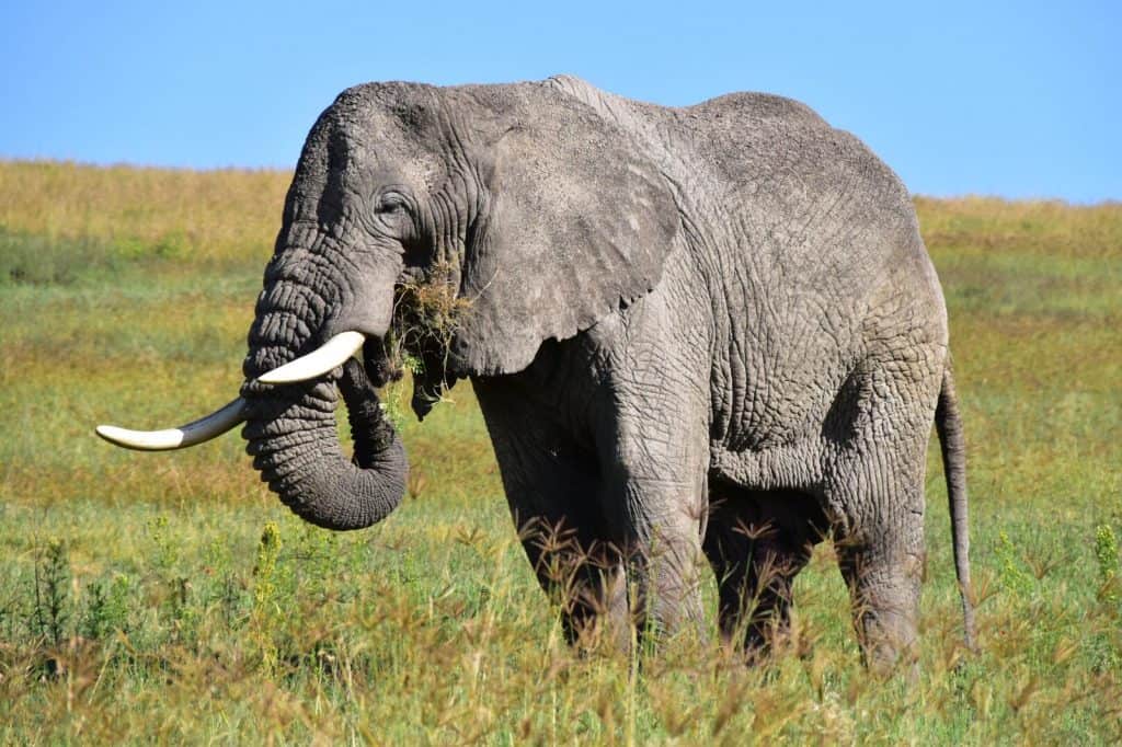 Ngaiza Adventures (3)