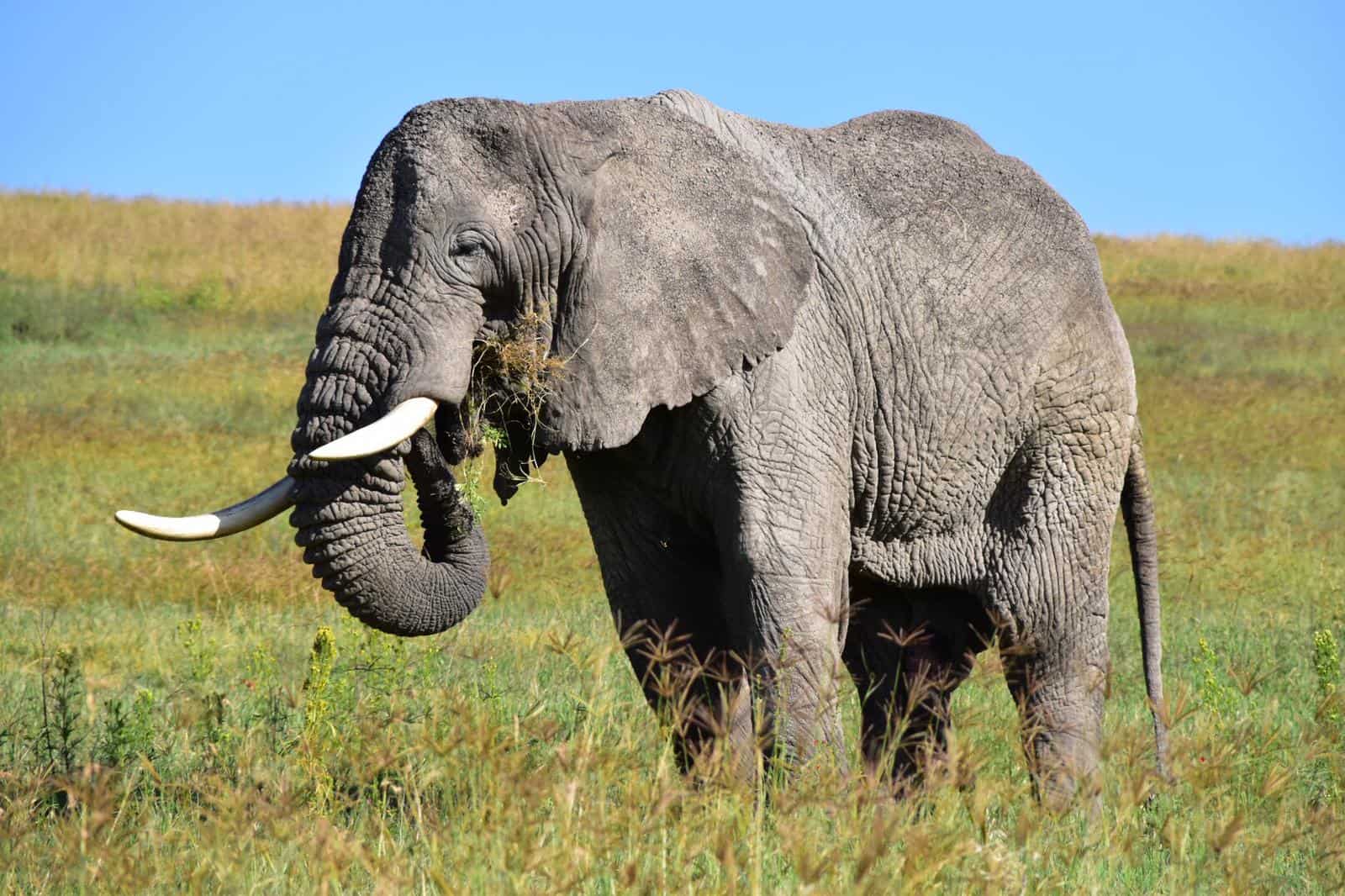 Ngaiza Adventures (3)