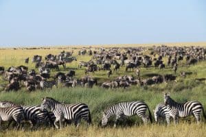 Ngaiza Adventures