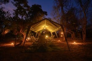 Botswana Wild Life. Semowi Photography.