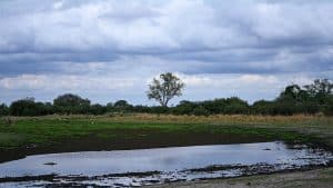 Botswana Wild Life. Semowi Photography.