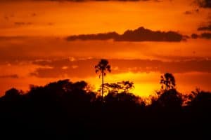 Botswana Wild Life. Semowi Photography.