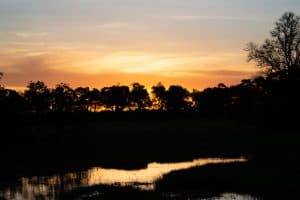 Botswana Wild Life. Semowi Photography.