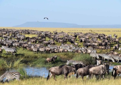 5-Day Migration Safari in Northern Tanzania