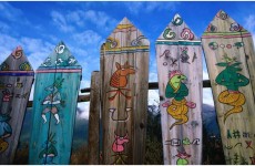 12-Day Wild Side of China: A Nature Odyssey