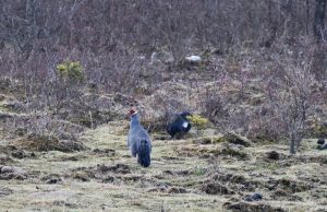 Birding14