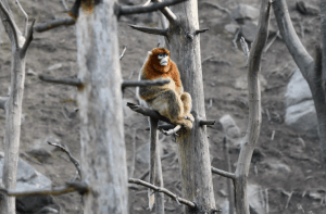 Birding15