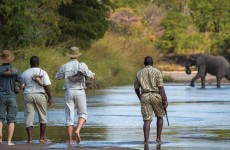 4 Days Best of South Luangwa Luxury Safari
