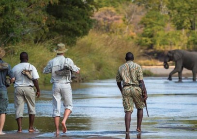 4 Days Best of South Luangwa Luxury Safari