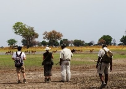 4 Days Botswana Walking Safari