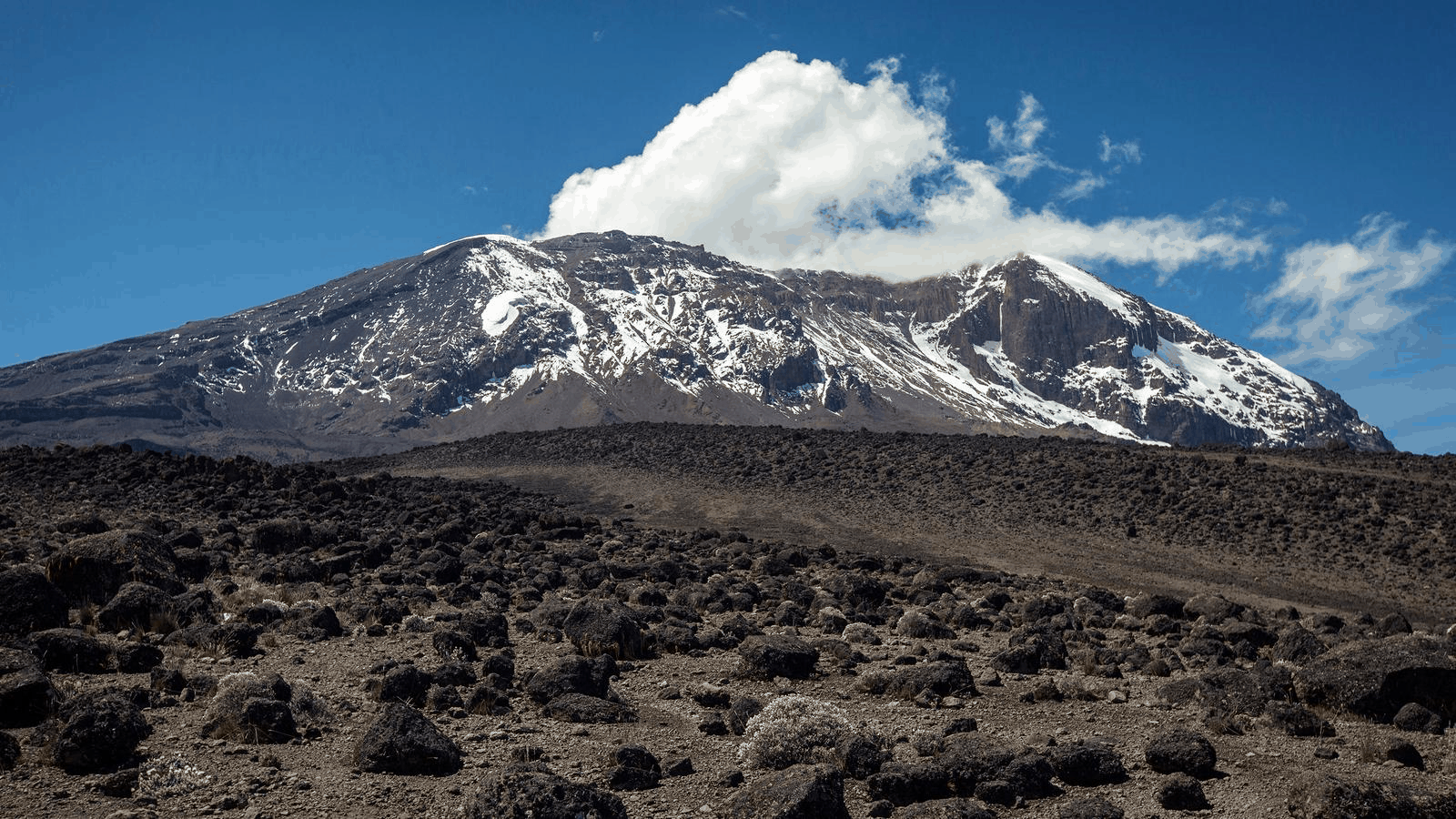 Kilimanjaro Climbing @burigi Chato Safaris (12)
