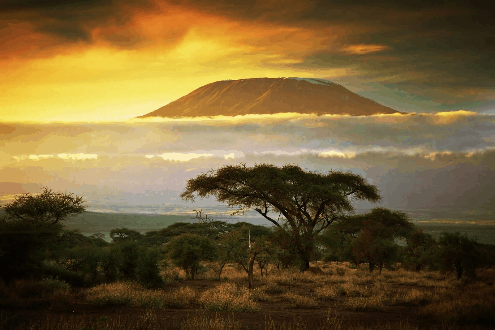 Kilimanjaro Climbing @burigi Chato Safaris (21)