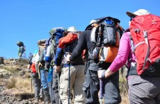 6-Day Kilimanjaro Machame Route Hike