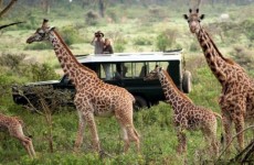 3 Days Heart of Masai Mara Safari
