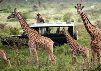 3 Days Heart of Masai Mara Safari