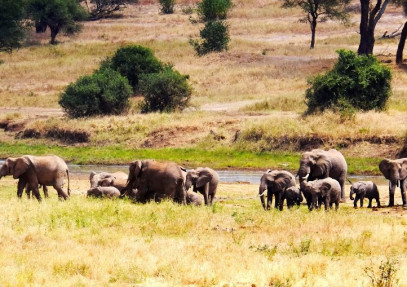 4-Day Tarangire, Serengeti & Ngorongoro Crater Safari