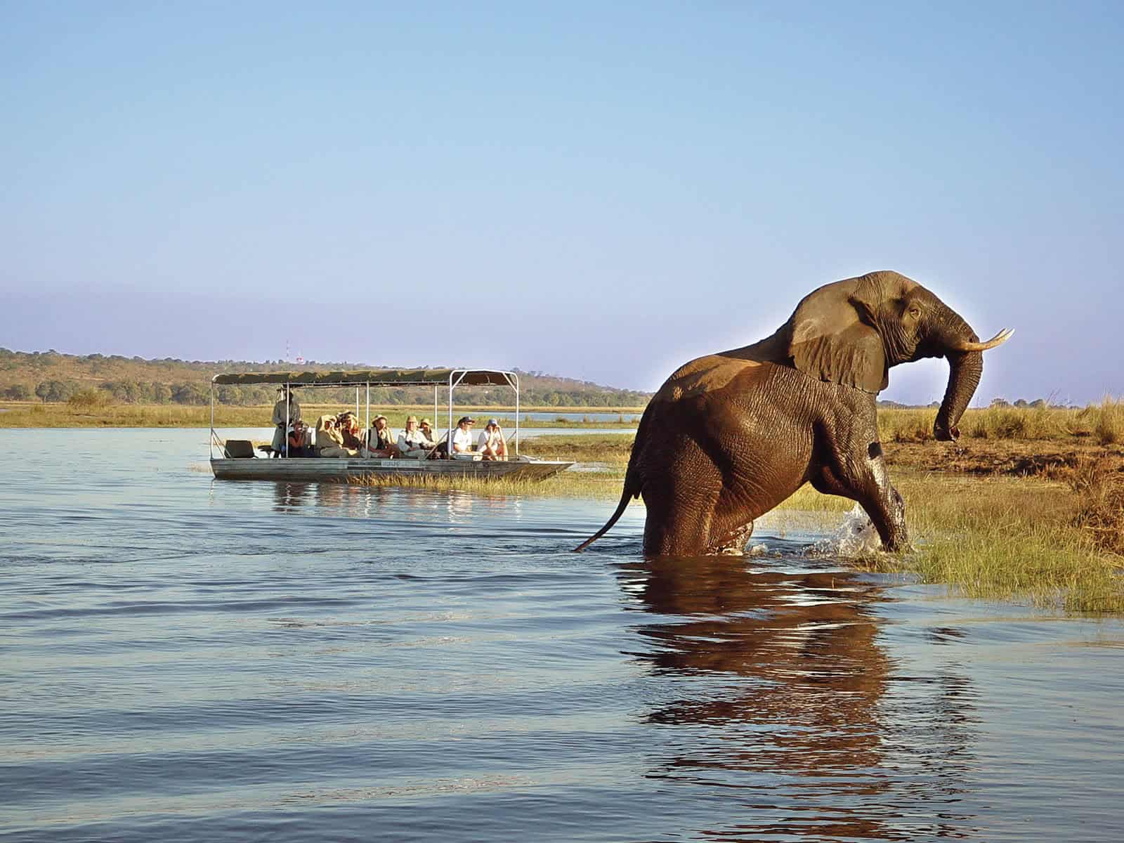 Chobe Safari Lodge Game Cruise