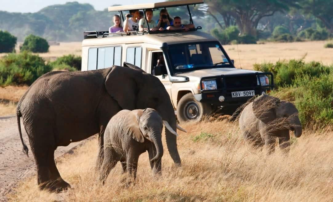 Game Drive At Masai Mara