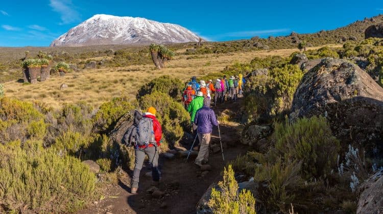 Kitano Tours And Safaris (2)