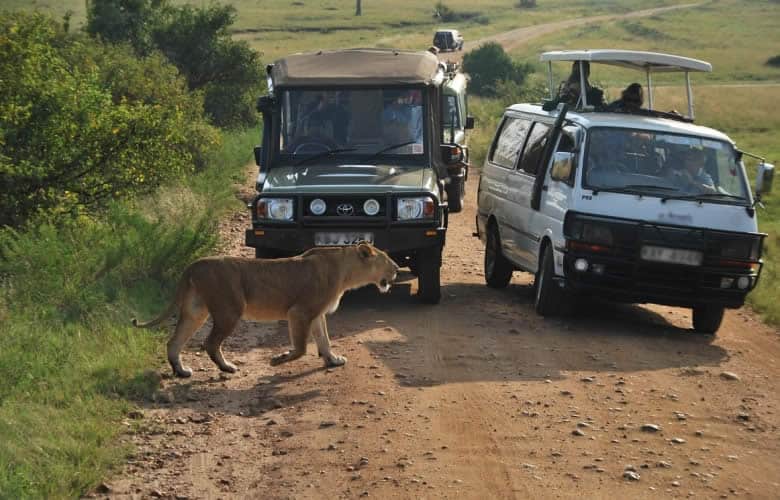 Mara Tours