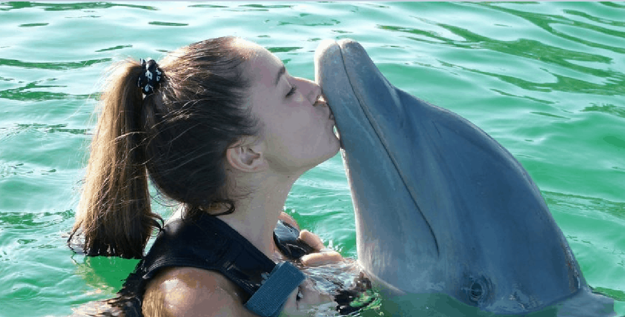 Ngaiza Adventures Dolphin Tour Zanzibar..(4)