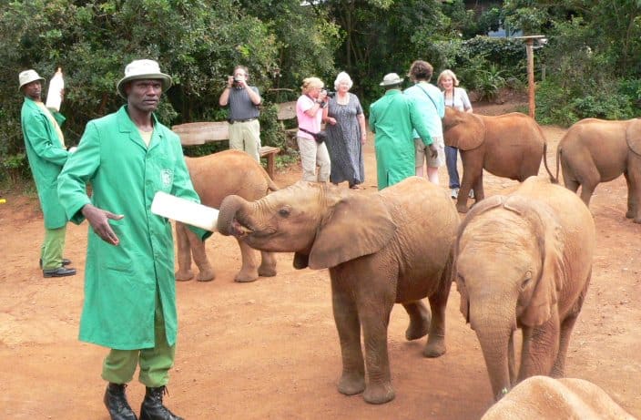 Sheldrick Elephant Orphanage