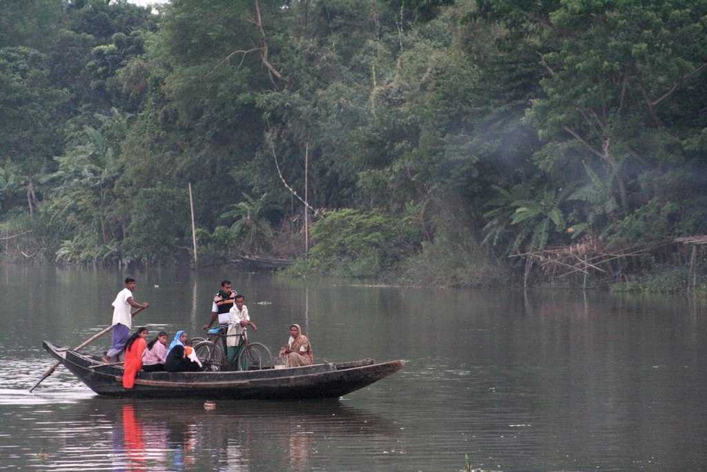 Sundarban 2