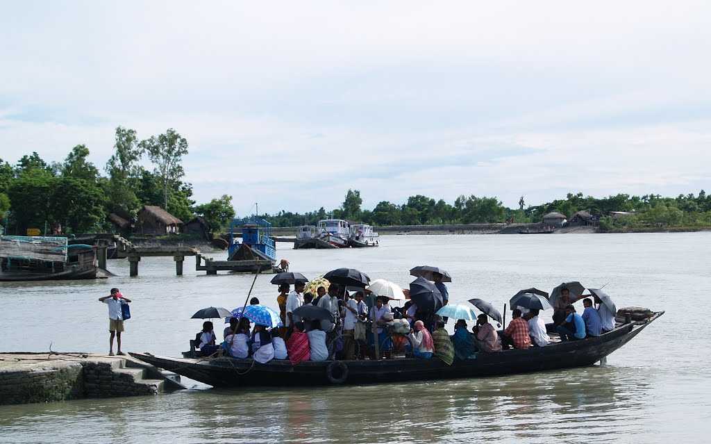 Sundarban 7