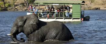 Chobe Day