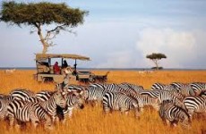 3-Day Camping Safari in Masai Mara National Reserve