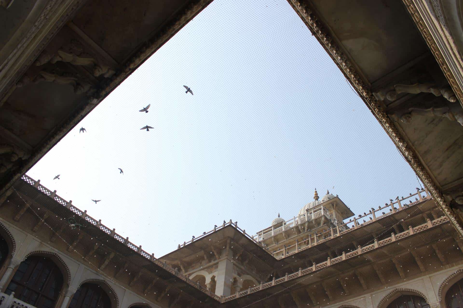 Jaipur Albert Hall 1
