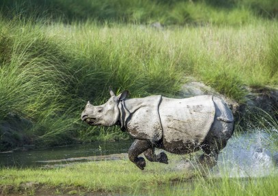 Explore Wild Nepal