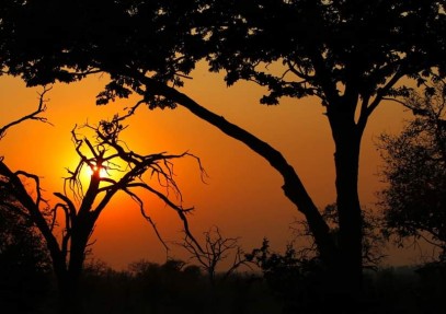 12-Day Victoria Falls to Okavango Delta Safari