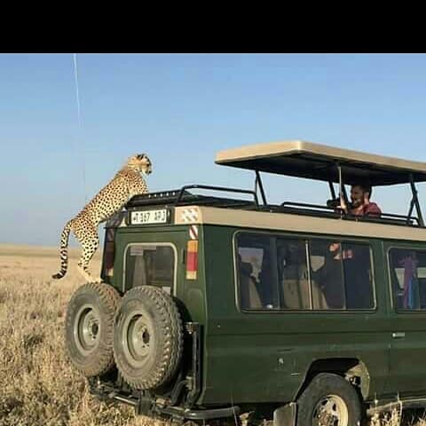 Img 20171221 Wa0018 Copy