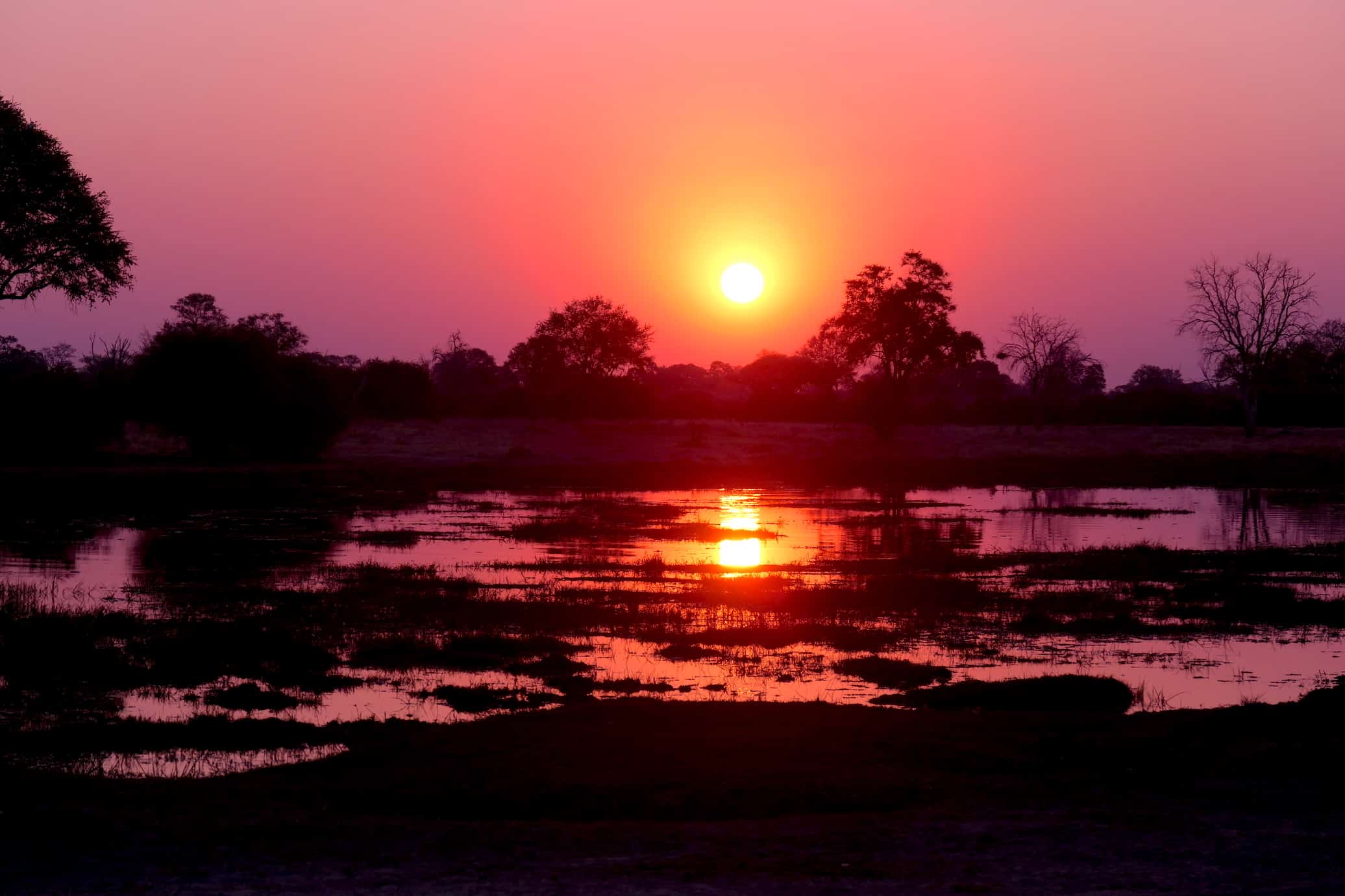 Pink Sunset
