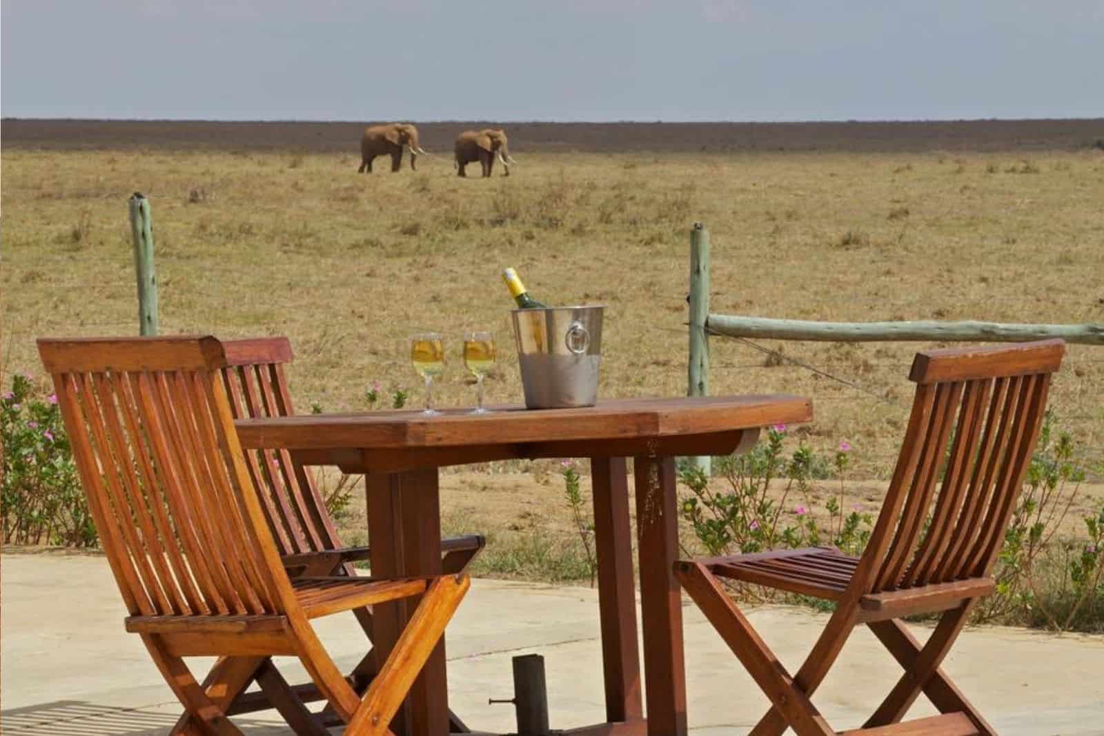 Tsavo East National Park Safari