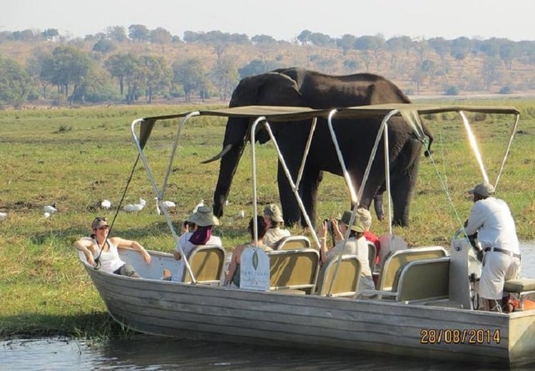 Chobe Day Trip