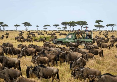 7 Days Kenya Wildlife Safari