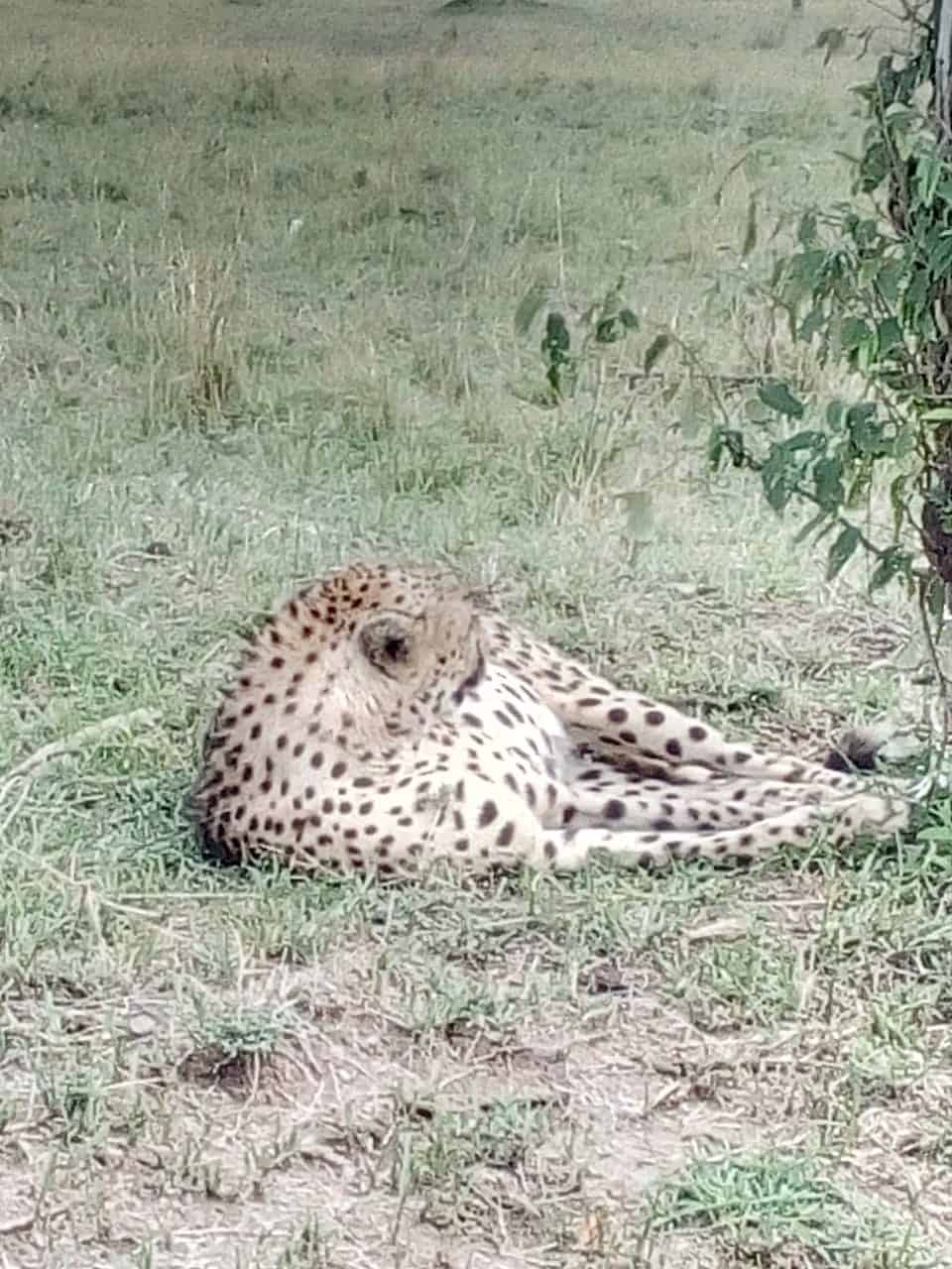 Img 20190910 Wa0006