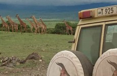 7-Day Classic Luxury Safari